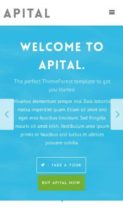 Apital (screenshot mobile)