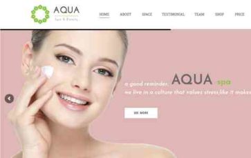 Aqua (JWSThemes) (screenshot desktop)
