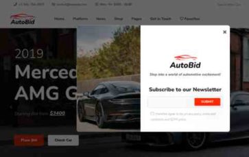 AutoBid (screenshot desktop)