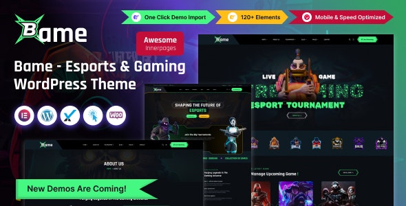 Bame (ThemeForest)