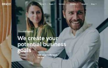 Binox (screenshot desktop)