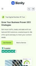 Biznity (screenshot mobile)