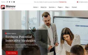 Biznov (screenshot desktop)