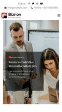 Biznov (screenshot mobile)