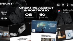 Brainy (ThemeForest)