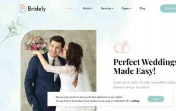 Bridely (screenshot desktop)