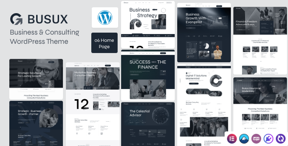 Busux (ThemeForest)