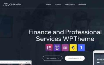 Cleanfin (screenshot desktop)