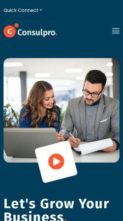 Consulpro (screenshot mobile)