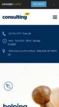 Consulting (StylemixThemes) (screenshot mobile)