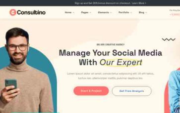 Consultino (Radiant Themes) (screenshot desktop)