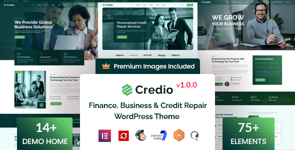 Credio (ThemeForest)