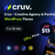 Cruv (ThemeForest)