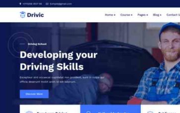 Drivic (screenshot desktop)