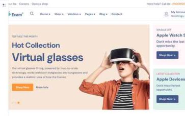 Ecom (SteelThemes) - (screenshot desktop)