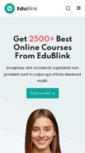 EduBlink (screenshot mobile)