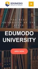 Edumodo (screenshot mobile)
