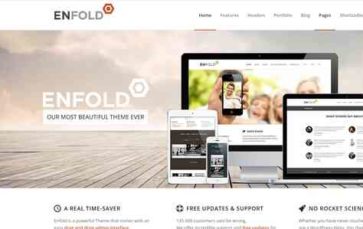 Enfold (screenshot desktop)