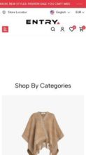Entry (WPThemeGo) (screenshot mobile)