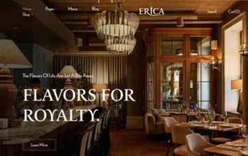 Erica (LA Studio) (screenshot desktop)