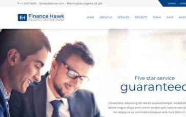 Finance Hawk (screenshot desktop)