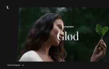 Flen (screenshot desktop)