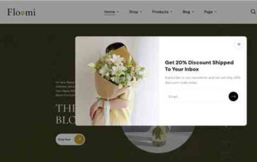 Floomi (screenshot desktop)