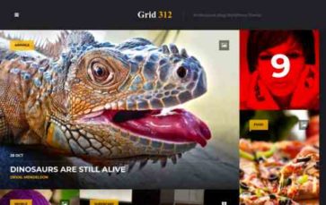 Grid312 (screenshot desktop)