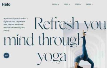 Helo (CrowdyFlow) (screenshot desktop)