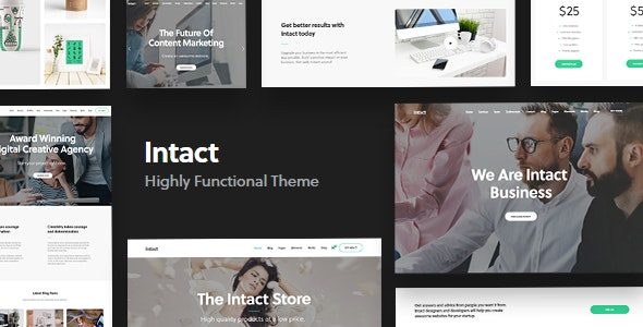 Intact (ThemeForest)