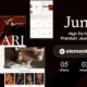 Junari (ThemeForest)