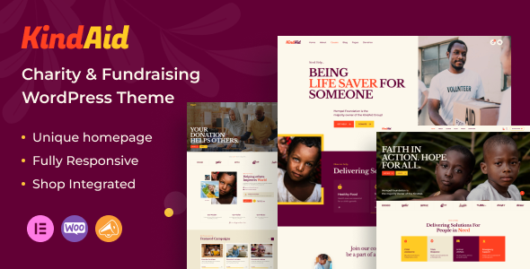 KindAid (ThemeForest)
