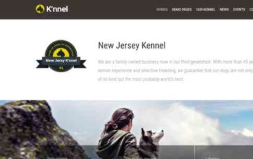 Knnel (screenshot desktop)