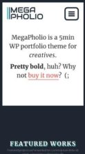 MegaPholio (screenshot mobile)