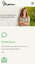 Mentor (OceanThemes) (screenshot mobile)