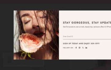 Monica (DesignThemes) - (screenshot desktop)