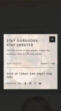 Monica (DesignThemes) - (screenshot mobile)