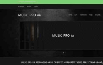 Musicpro (screenshot desktop)