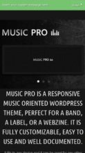 Musicpro (screenshot mobile)