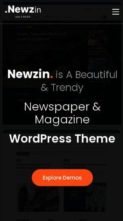Newzin (screenshot mobile)