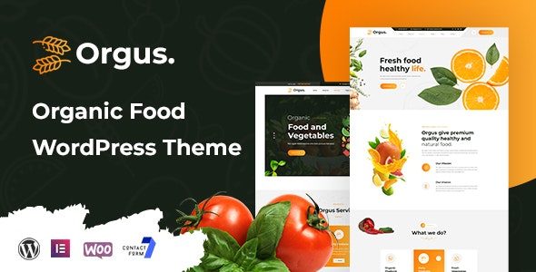 Orgus (ThemeForest)
