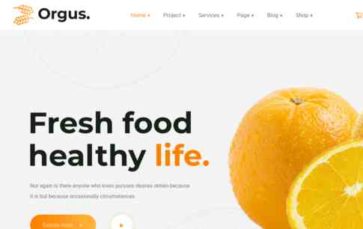 Orgus (screenshot desktop)