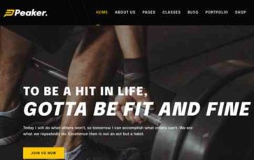 Peaker (screenshot desktop)