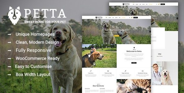 Petta (ThemeForest)