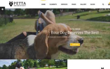 Petta (screenshot desktop)