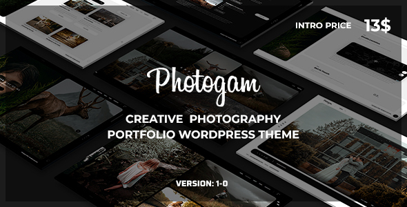 Photogam (ThemeForest)