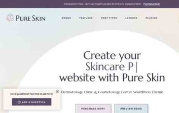 Pure Skin (screenshot desktop)