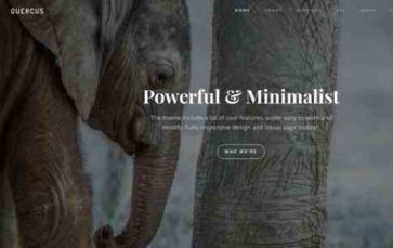 Quercus (screenshot desktop)