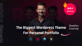 Reeni WP (ThemeForest)