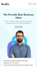 Rexbiz (screenshot mobile)